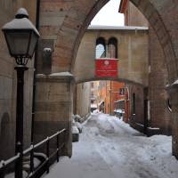 Duomo di Modena - 110