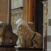 Duomo di Modena - 13