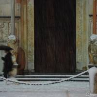 Duomo di Modena - 14