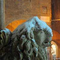 Duomo di Modena - 16