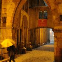 Duomo di Modena - 40