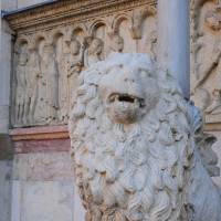 Duomo di Modena - 43