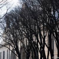 Foro Boario Modena - 2