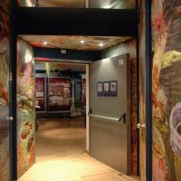 Museo della Figurina Modena - 1