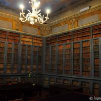 Palazzo d'Aragona Coccapani Modena - 11