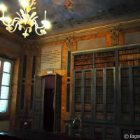 Palazzo d'Aragona Coccapani Modena - 12