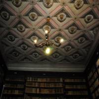 Palazzo d'Aragona Coccapani Modena - 16