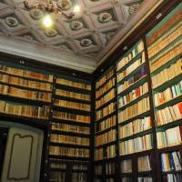 Palazzo d'Aragona Coccapani Modena - 17