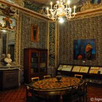 Palazzo d'Aragona Coccapani Modena - 18