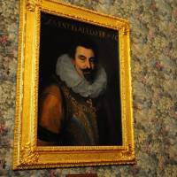 Palazzo d'Aragona Coccapani Modena - 21