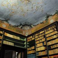 Palazzo d'Aragona Coccapani Modena - 27