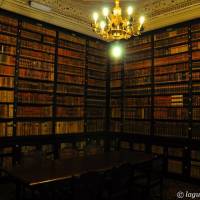 Palazzo d'Aragona Coccapani Modena - 29