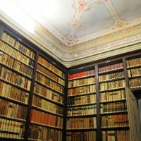 Palazzo d'Aragona Coccapani Modena - 30