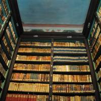 Palazzo d'Aragona Coccapani Modena - 33