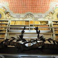 Palazzo d'Aragona Coccapani Modena - 34