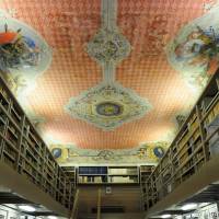 Palazzo d'Aragona Coccapani Modena - 35