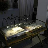 Palazzo dei Musei (Musei) Modena - 10