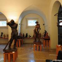 Palazzo dei Musei (Musei) Modena - 14