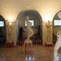 Palazzo dei Musei (Musei) Modena - 15