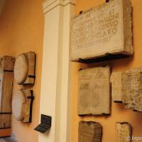 Palazzo dei Musei (Musei) Modena - 17