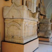 Palazzo dei Musei (Musei) Modena - 20