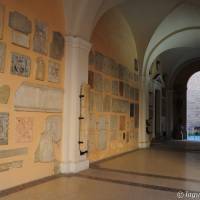 Palazzo dei Musei (Musei) Modena - 24