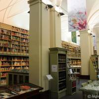 Palazzo dei Musei (Musei) Modena - 29