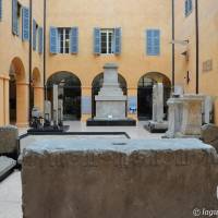 Palazzo dei Musei (Musei) Modena - 30