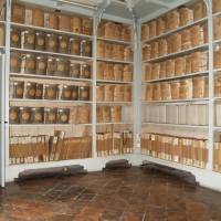 Palazzo dei Musei (Musei) Modena - 36