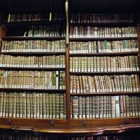 Palazzo dei Musei (Musei) Modena - 5