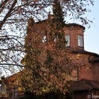 Piazza Matteotti Modena - 3