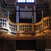 San Barnaba Modena - 4