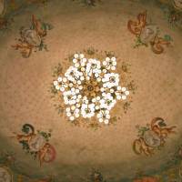 Teatro Comunale Luciano Pavarotti Modena - 23