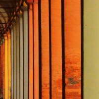 Un giorno a Modena - 58