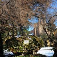 Viali di Circonvallazione Modena - 18