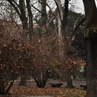 Viali di Circonvallazione Modena - 1