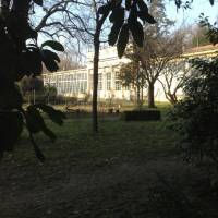 Viali di Circonvallazione Modena - 27