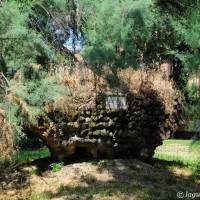 Viali di Circonvallazione Modena - 9