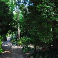 Palazzina Giardini e Orto Botanico Modena - 12