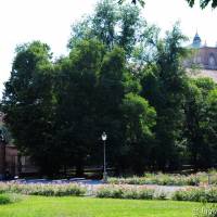 Palazzina Giardini e Orto Botanico Modena - 13