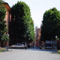 Palazzina Giardini e Orto Botanico Modena - 17