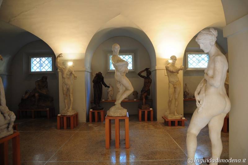 Palazzo dei Musei (Musei) Modena - 15