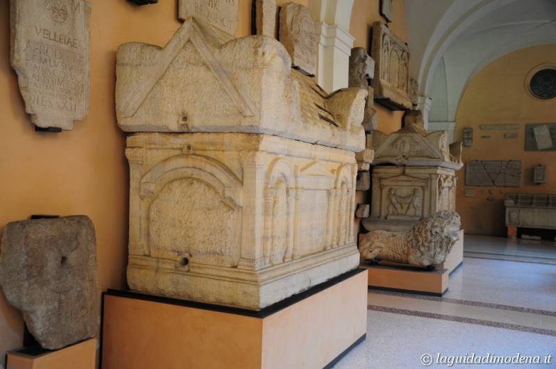 Palazzo dei Musei (Musei) Modena - 20