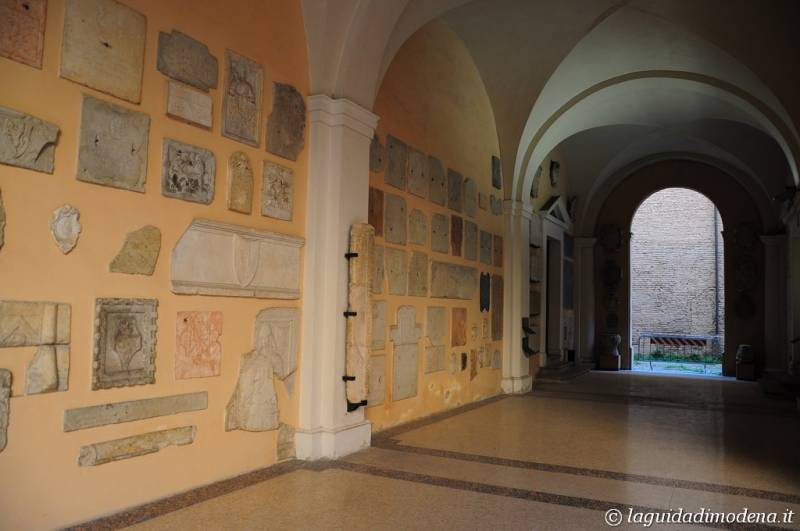 Palazzo dei Musei (Musei) Modena - 24