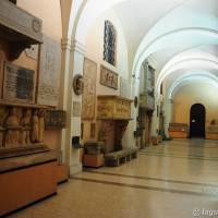 Palazzo dei Musei (Palazzo) Modena - 9